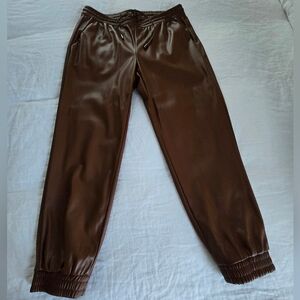 Banana Republic Chestnut Faux Leather Pants